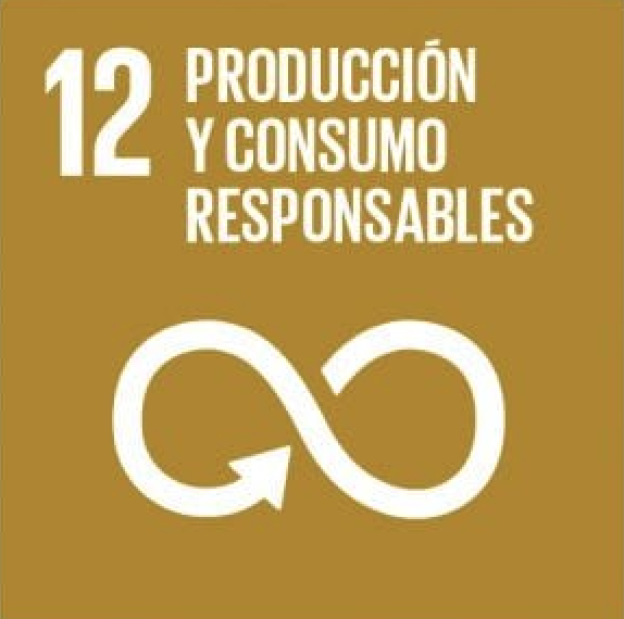 ODS 12, producción y consumo responsables