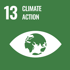 ODS 13, acción por el clima