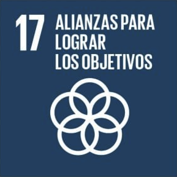 ODS 17, alianzas para lograr los objetivos