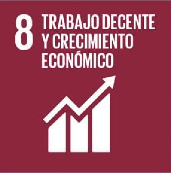 ODS 8, trabajo decente y crecimiento económico